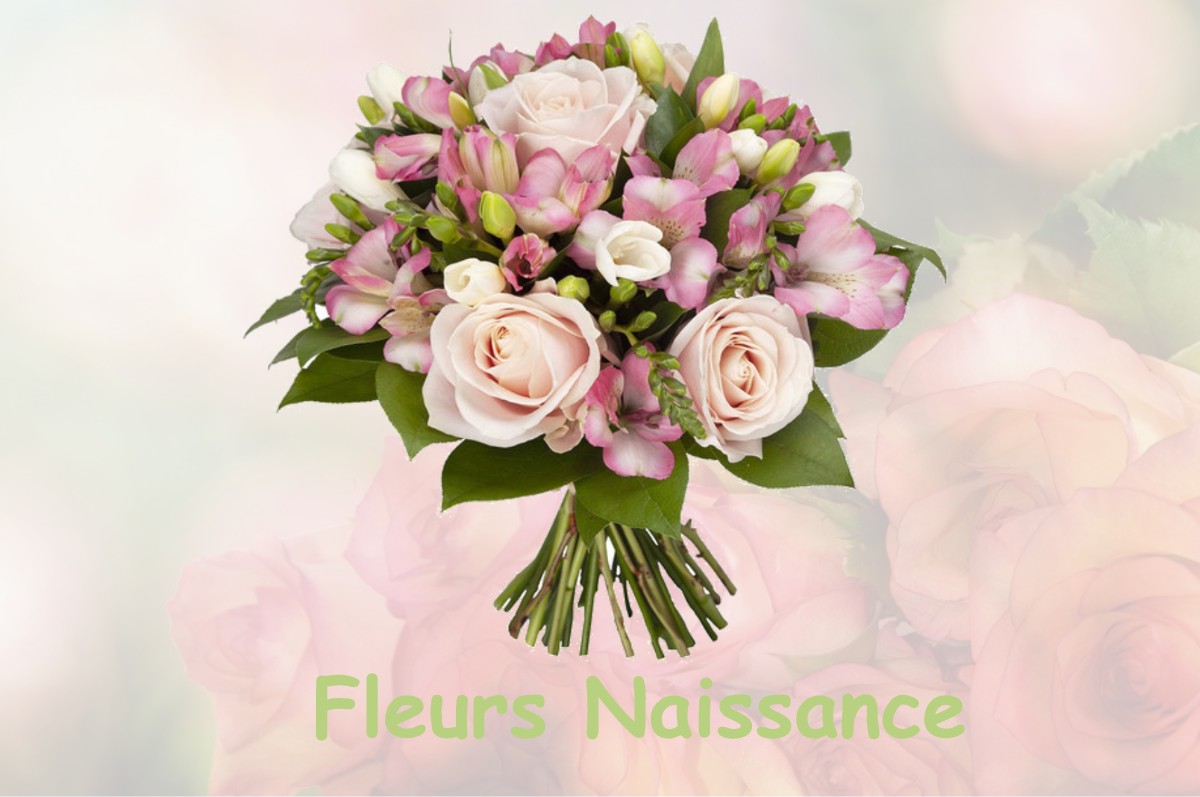 fleurs naissance BOUSSAC-BOURG
